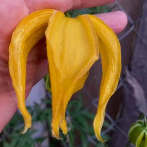 442505785_3131592130304819_6244631493836283709_n