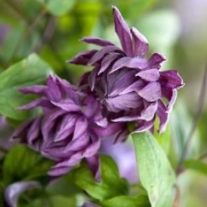 admin-ajax (2) admin-ajax (2)