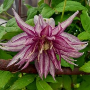 admin-ajax (2) admin-ajax (2)