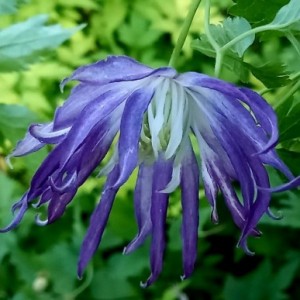 admin-ajax (3) admin-ajax (3)